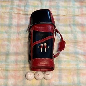 Mini golf bag